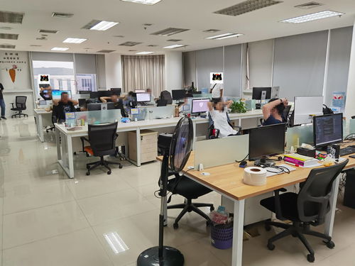 技術(shù)開發(fā)成幫兇，浠水警方雷霆出擊斬斷涉詐APP黑色產(chǎn)業(yè)鏈